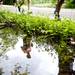 The reflection of Dexter-Ann Arbor runners on Sunday, June 2. Daniel Brenner I AnnArbor.com